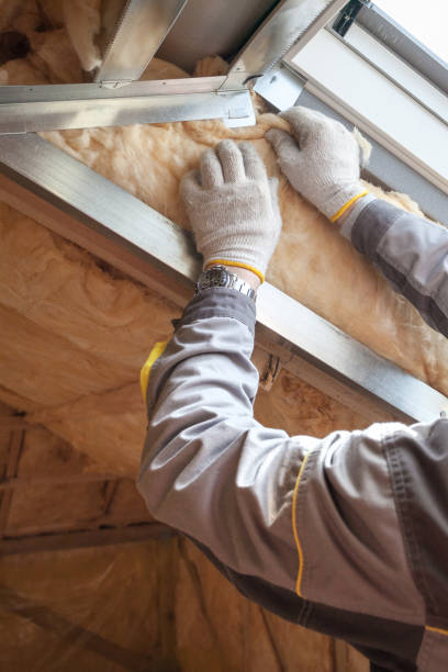 Best Insulation Installation Services in Freemansburg, PA